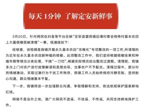 基本农田大量槟榔苗被清理？海南定安通报：已多次劝导
