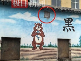 数百人搜索河北逃跑小熊，它把养蜂人蜂蜜都吃了，“黑熊岭”加装探头