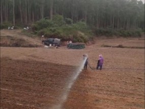 最近半年，广西没下过一场像样的雨