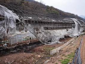 韩国山火已致30人死亡，受灾面积超历史最高水平