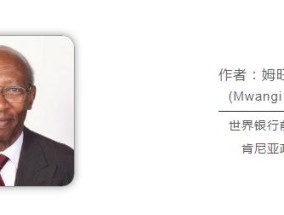 肯尼亚专家：尊重与信任铸就长期合作之基，中肯共迎未来关系提质升级