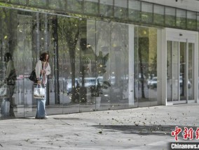 平均风、阵风、大风……有何区别？专家解读
