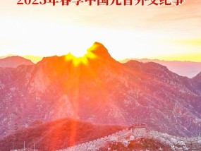 大国应有的样子——2025年春季中国元首外交纪事