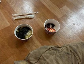 揪心！韩国消防员奋战山火，平均年龄61岁，泡菜冷饭寒酸难以充饥