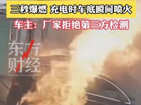 买来仅4个月！河北一奔驰车主称车辆充电时起火，要求第三方检测遭拒，消防回应