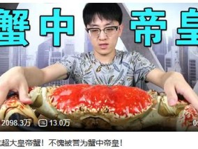 B站顶流up被骗1249万！为还债卖掉迈巴赫、挪用奶奶养老钱