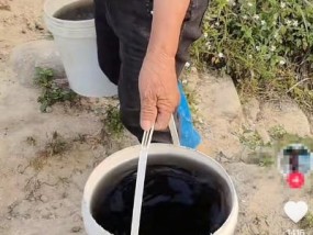 福州一河道河水漆黑，当地回应：系生活污水管网破损引起