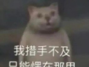 小学生不玩烟卡，改集车标了？