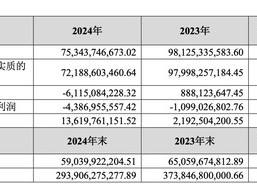 金地集团2024年净利润亏损61亿，顺利渡过偿债高峰