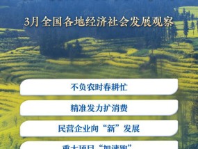 稳中求进每月看丨春潮涌动奋楫行——3月全国各地经济社会发展观察