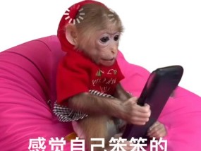 看似很爽，实则让大脑“腐烂”的行为，很多人每天都在做